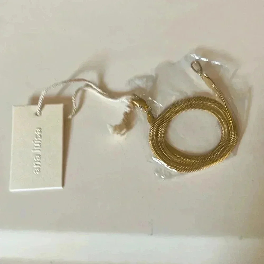 Ana Luisa Gold Chain necklace
